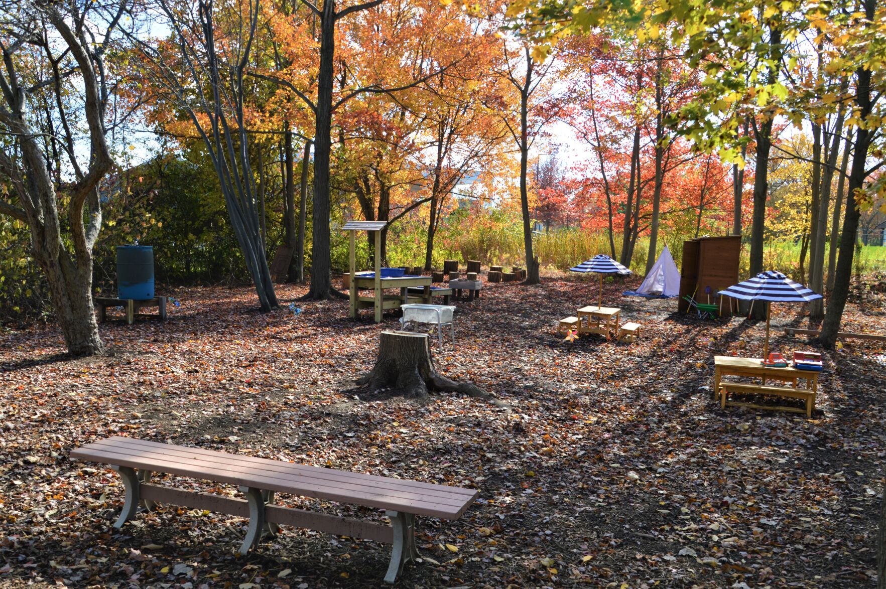 Outdoor Classroom 2.JPG